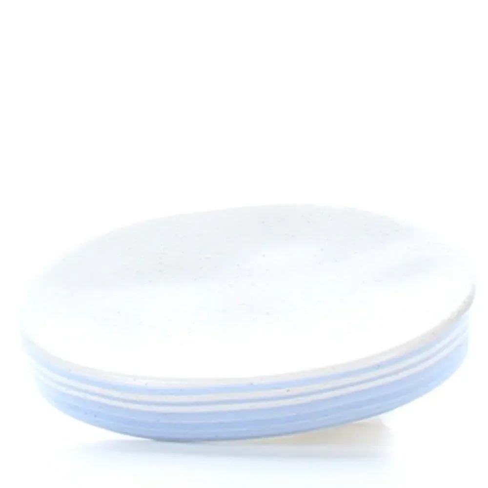 Blue and White Soap Dish